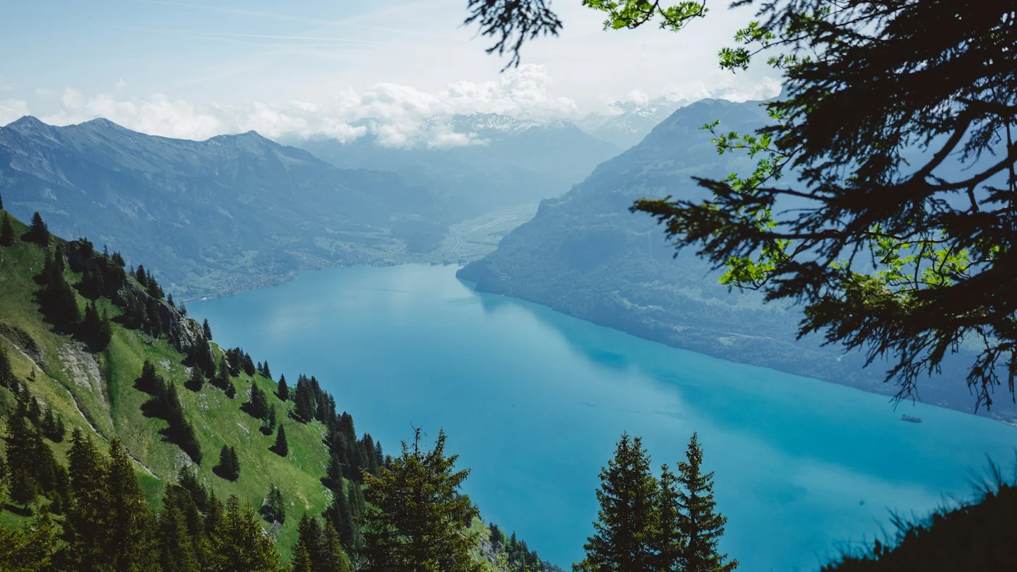 Lake Brienz seen from a mountain viewpoint near Schonbuel